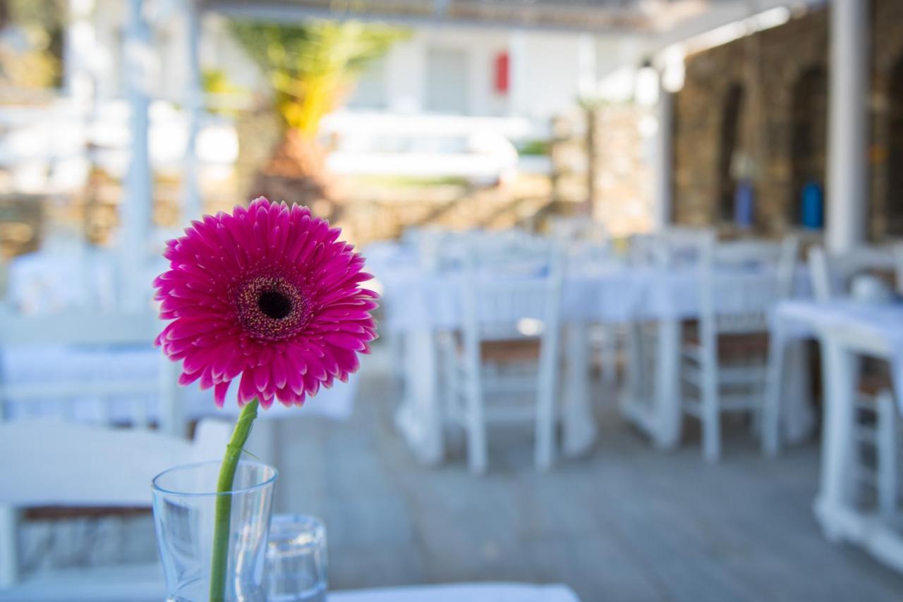Villa Irini Platis Gialos  Exteriér fotografie